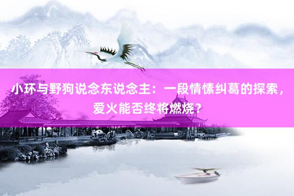 小环与野狗说念东说念主：一段情愫纠葛的探索，爱火能否终将燃烧？