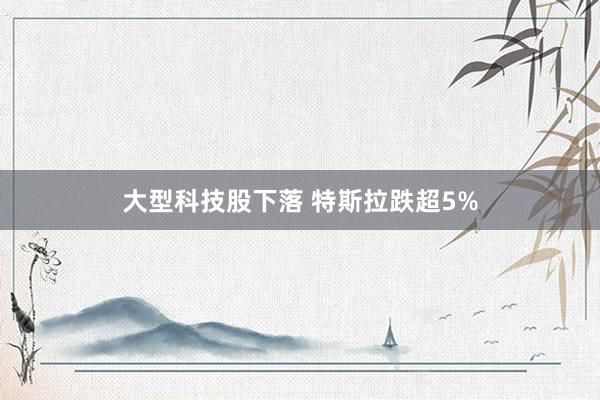 大型科技股下落 特斯拉跌超5%