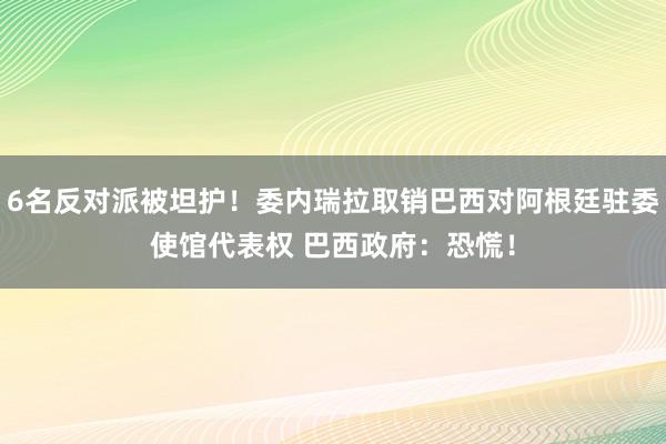 6名反对派被坦护！委内瑞拉取销巴西对阿根廷驻委使馆代表权 巴西政府：恐慌！