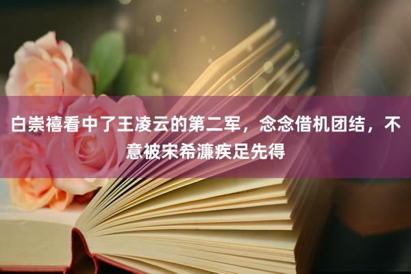 白崇禧看中了王凌云的第二军，念念借机团结，不意被宋希濂疾足先得