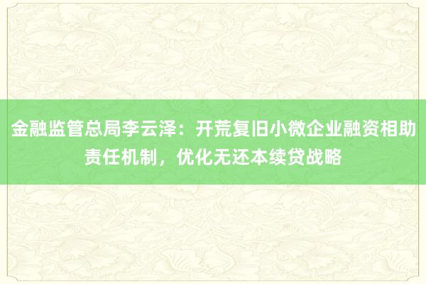 金融监管总局李云泽：开荒复旧小微企业融资相助责任机制，优化无还本续贷战略