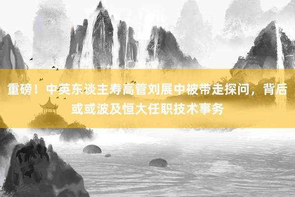 重磅！中英东谈主寿高管刘展中被带走探问，背后或或波及恒大任职技术事务