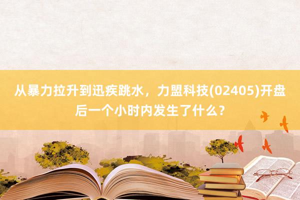 从暴力拉升到迅疾跳水，力盟科技(02405)开盘后一个小时内发生了什么？