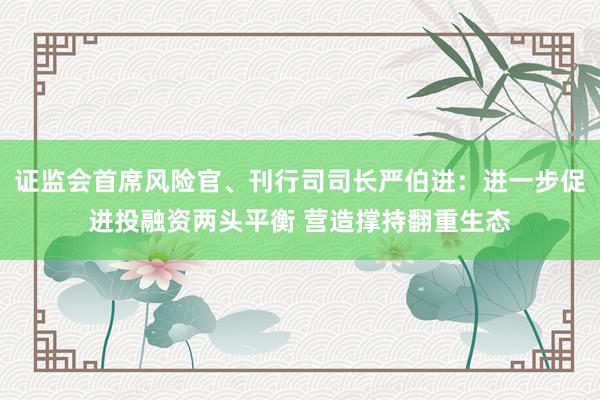 证监会首席风险官、刊行司司长严伯进：进一步促进投融资两头平衡 营造撑持翻重生态